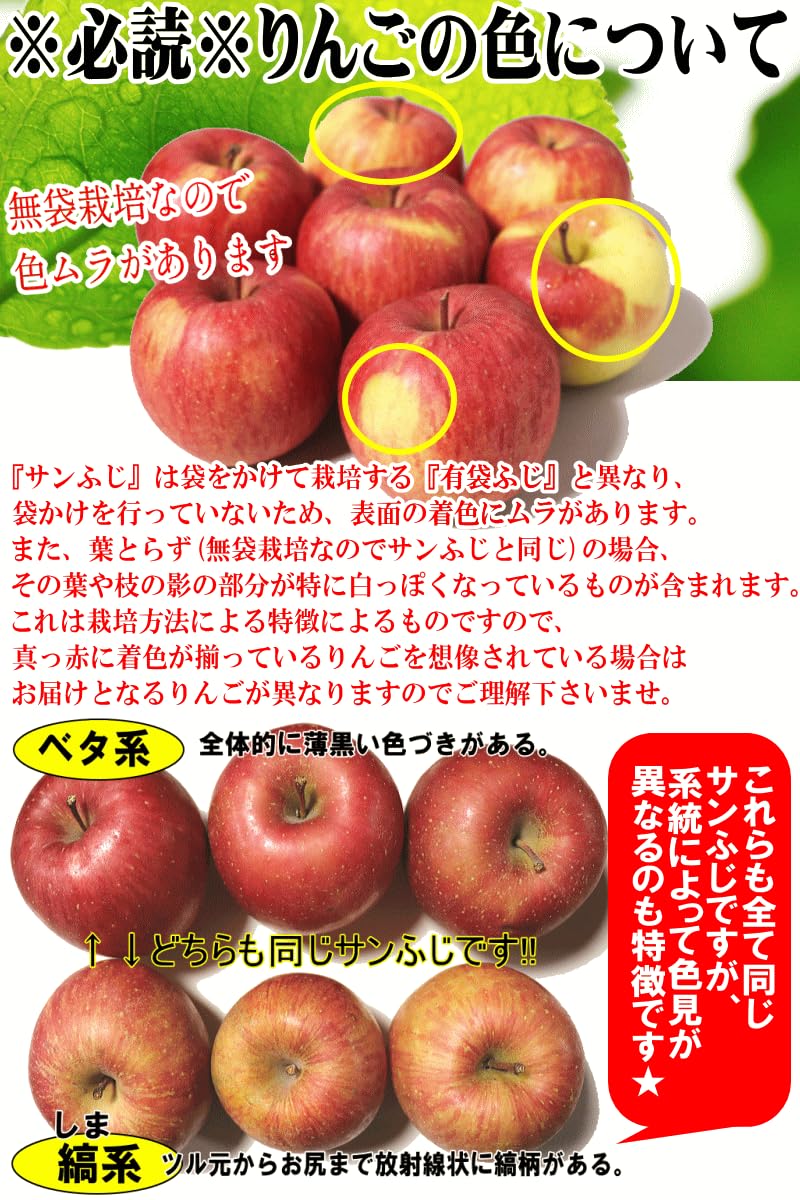 Amazon.co.jp: 青森期待の新人商店 りんご 5kg箱 サンふじ ご家庭用/訳